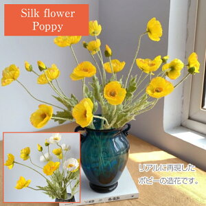 |s[  A CeA t̉ tFCN t[ VN A[eBtBV t[ PV F 3{Zbg   fBXvC Be OB EGfBO ItBX rO J