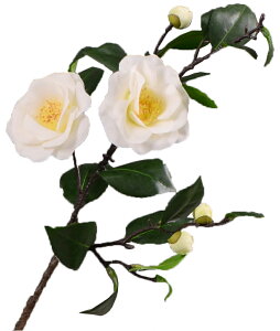 �y���r���[���T����z �� ���� ������ �t�F�C�N �a�� ���� �C���e���A ���� ���� �V�N �}�t �ԑ� �� �� �A�[�e�B�t�B�V�����t�����[ �ԍ� ���t ���t �V�t �a�� �f�B�X�v���C Kugusa