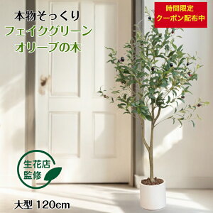 _5̂200~offN[|zz^ yԓXďCz tFCNO[ I[u I[u̖ A lHϗtA ϗtA tFCN ^  120cm CeA  ItBX  