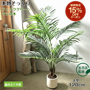 _̔LOSALE15%offN[|^ yԓXďCz tFCNO[ V̖ A lHϗtA ϗtA tFCN ^  120cm CeA  ItBX  JtF e@ Mtg 
