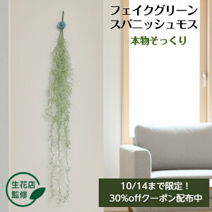 y10/14܂Ō30%OFFztFCNO[ GAvc  ϗtA  ݂艺 CeA O[ A A[eBtBVO[  Ǌ| Kugusa V