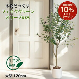 yԌ 10%OFFN[|z yԓXďCz tFCNO[ I[u I[u̖ A lHϗtA ϗtA tFCN ^  120cm CeA  ItBX   a