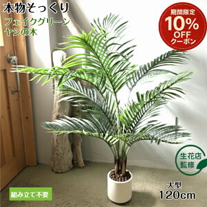 yԌ 10%OFFN[|z yԓXďCz tFCNO[ V̖ A lHϗtA ϗtA tFCN ^  120cm CeA  ItBX  JtF e@ Mtg J