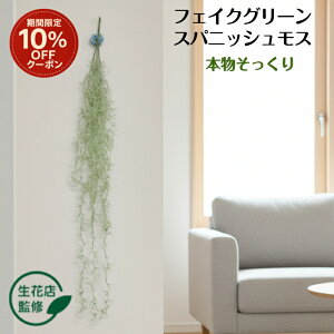 yԌ 10%OFFN[|z tFCNO[ GAvc  ϗtA  ݂艺 CeA O[ GA[vc A A[eBtBVO[  Ǌ| Kugusa 