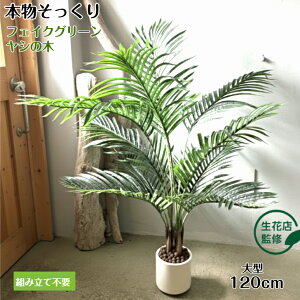 【生花店監修】 フェイクグリーン ヤシの木 リアル 人工観葉植物 観葉植物 フェイク 大型 造花 120cm インテリア 室内 オフィス おしゃれ カフェ 美容院 ギフト 開店祝い 装飾 白鉢 Kugusa