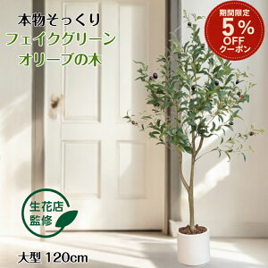 y10/31 5OFFz yԓXďCz tFCNO[ I[u I[u̖ A lHϗtA ϗtA tFCN ^  120cm CeA  ItBX   ȁے