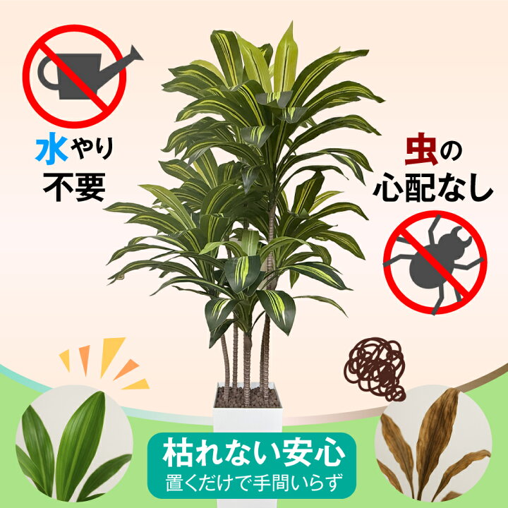 楽天市場】【生花店監修】 フェイクグリーン ドラセナ 150cm 大型 観葉 