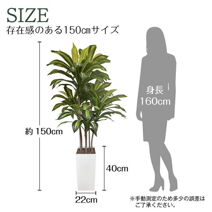 楽天市場】【生花店監修】 フェイクグリーン ドラセナ 150cm 大型 観葉 