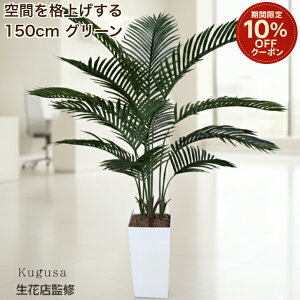 y}\ 10%offN[|z yԓXďCz tFCNO[ V̖ 150cm ^ ϗtA tFCN  t   CeA O[ ItBX t rO X Kugusa