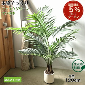 yԌ聚5%offN[|z yԓXďCz tFCNO[ V̖ A lHϗtA ϗtA tFCN ^  120cm CeA  ItBX  JtF e@ Mtg J