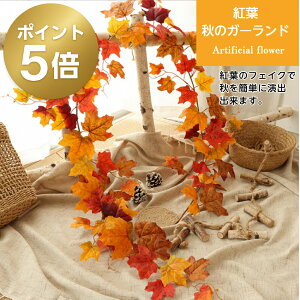 _11/18 |Cg5{^ gt K[h H   fBXvC CeA [v  ݂ lH tFCN O[ ݂艺 Ǌ| nEB   Kugusa