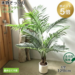 _11/18 |Cg5{^ yԓXďCz tFCNO[ V̖ A lHϗtA ϗtA tFCN ^  120cm CeA  ItBX  JtF e@ Mtg JX