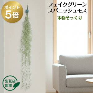 _11/18 |Cg5{^ yԓXďCz tFCNO[ GAvc  ϗtA  ݂艺 CeA O[ GA[vc A A[eBtBVO[ 