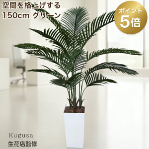 _11/18 |Cg5{^ yԓXďCz tFCNO[ V̖ 150cm ^ ϗtA tFCN  t   CeA O[ ItBX t rO X Kugusa