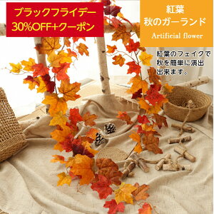 _݌Ɍ 30%OFF+N[|^ gt K[h H   fBXvC CeA [v  ݂ lH tFCN O[ ݂艺 Ǌ| nEB   Kugusa