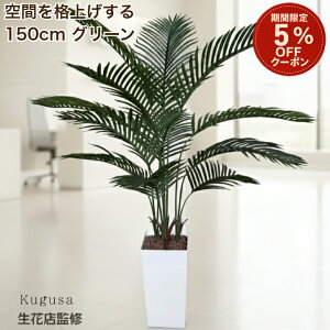 _ubNtCf[ 5%OFFN[|^ yԓXďCz tFCNO[ V̖ 150cm ^ ϗtA tFCN  t   CeA O[ ItBX t rO 