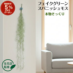 _ubNtCf[ 5%OFFN[|^ yԓXďCz tFCNO[ GAvc  ϗtA  ݂艺 CeA O[ GA[vc A A[eBtBV