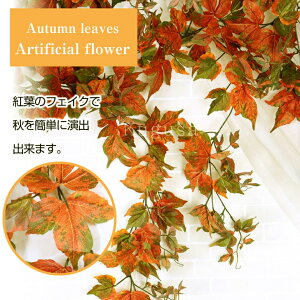 gt K[h 1{ nEB H   fBXvC  G CeA t   z[ fR[V HF ݂ lH Ӎ Be  ͂Ȃ Ǌ| ݂艺 