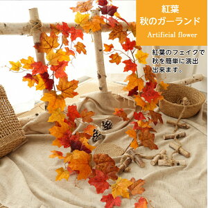 gt K[h H   fBXvC CeA [v  ݂ lH tFCN O[ ݂艺 Ǌ| nEB   Kugusa