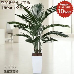 _yVX[p[SALE 10%off^ yԓXďCz tFCNO[ V̖ 150cm ^ ϗtA tFCN  t   CeA O[ ItBX t rO X Kugusa