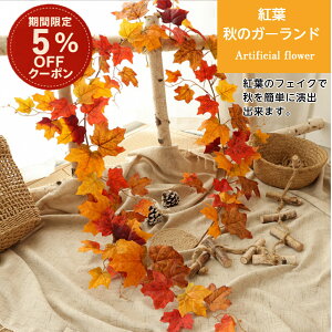 _X[p[SALE 5%offN[|^ gt K[h H   fBXvC CeA [v  ݂ lH tFCN O[ ݂艺 Ǌ| nEB   Kugusa