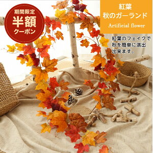 _26Ԍ zN[|^ gt K[h H   fBXvC CeA [v  ݂ lH tFCN O[ ݂艺 Ǌ| nEB   Kugusa