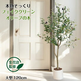 【生花店監修】 フェイクグリーン オリーブ オリーブの木 リアル 人工観葉植物 観葉植物 フェイク 大型 造花 120cm インテリア 室内 オフィス おしゃれ 装飾 平和の象徴の木 白鉢 敬老の日 ギフト Kugusa ＼レビュー特典あり／