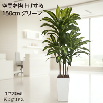 楽天市場】【生花店監修】 フェイクグリーン ドラセナ 150cm 大型 観葉 