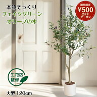 ＼マラソン限定 500円offクーポン／ 【生花店監修】 フェイクグリーン オリーブ オリーブの木 リアル 人…