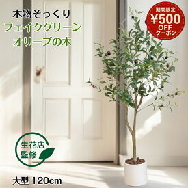＼スーパーSALE限定 500円offクーポン／ 【生花店監修】 フェイクグリーン オリーブ オリーブの木 リアル 人工観葉植物 観葉植物 フェイク 大型 造花 120cm インテリア 室内 オフィス おしゃれ 装飾 平和の象徴の木 白鉢 敬老の日 ギフト Kugusa ＼レビュー特典あり／