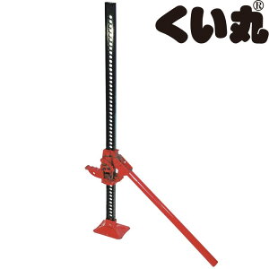 bL[WbL(Pi) ʓrA_v^Kvł