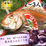 【農林水産大臣賞 受賞】お食い初め 鯛 はまぐり セット 500g 焼鯛 【国産 はまぐり】【伊勢神宮外宮奉納…