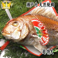 【送料無料!】【お食い初め　鯛】【祝い鯛】1.7kgアップお食い初め お祝い用【祝い飾り付き】 天然焼き鯛…