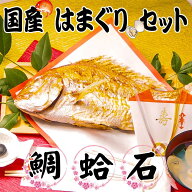 【農林水産大臣賞 受賞】【今だけ！無料サイズアップ中！】【純国産】お食い初め 鯛 はまぐり セット300g…