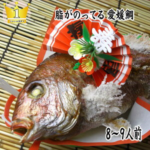 �y�j����z�y���������z�y���H�����߁@��z�@���Y�^��@�Ă���@�j��@�Y�Ώ� 1�D7kgup�̈��Q���̐^��y�j������t���z�^�~�ł������̂��Ă��܂��I���������߁A�ɂ�݂����ɂ��œK�ȁy��