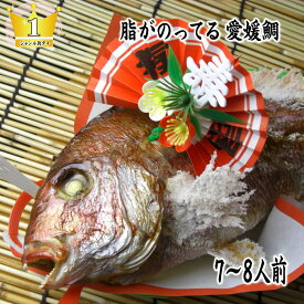 【鯛の塩焼き】お食い初め　鯛【送料無料】【祝い鯛】お食い初め お祝い用【焼き鯛】 国産真鯛　祝鯛　炭火焼 1．5kgupの愛媛県の真鯛【祝い飾り付き】真冬でも脂がのってうまい！おくいぞめ、にらみだいにも最適な　鯛の塩焼き【尾頭付き】御七夜