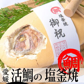 【鯛の塩釜焼】愛媛 活け鯛 1.5kg【送料無料】【ご希望のメッセージをお付けします〜♪】くいだおれ本舗の自信作【塩釜焼き　鯛】【ギフト】【贈り物】【プレゼント】鯛の塩焼き【尾頭付き鯛】【お食い初め　鯛】御七夜【楽ギフ_のし】【楽ギフ_のし宛書】