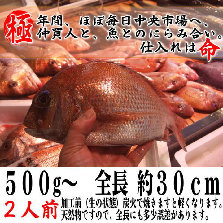 楽天市場】お食い初め 鯛 はまぐり セット【国産 はまぐり】【伊勢神宮外宮奉納】500gの明石・淡路島の天然鯛を炭火焼【祝い飾り付き】【祝鯛】【送料無料 】天然焼き鯛 【お食い初め セット】祝い鯛【尾頭付き鯛】【楽ギフ_のし】【鯛の塩焼き】焼鯛【焼き鯛】御七夜 百 ... 楽天市場】お食い初め 鯛 はまぐり セット【国産 はまぐり】【伊勢神宮外宮奉納】500gの明石・淡路島の天然鯛を炭火焼【祝い飾り付き】【祝鯛】【送料無料 】天然焼き鯛 【お食い初め セット】祝い鯛【尾頭付き鯛】【楽ギフ_のし】【鯛の塩焼き】焼鯛【焼き鯛】御七夜 百 ...