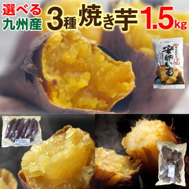 【4/30まで！2人に1人が当選★エントリーで最大100％ポイントバック】 焼き芋食べ比べ 1.5kg（500g×3袋）選べる 冷やし焼き芋 安納芋 シルクスイート 紅はるか 鹿児島県産 送料無料 クール