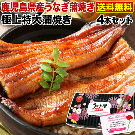 プレゼント 母の日ギフト うなぎ 蒲焼き 国産 鹿児島産 送料無料 特大蒲焼き4本セット 約200g×4 うなぎの里 ギフト（鰻　ウナギ） クール