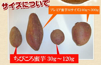 \好評販売中/大人気プチ安納芋(さつまいも)♪訳ありびっくり価格!Aランクのお芋をたっぷり2kg!★価格破壊に挑戦★種子島産甘さ凝縮プチ安納芋★◎2箱分購入で送料無料♪【ちびころ蜜芋2kg】