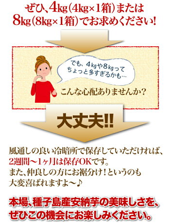 安納芋訳ありあんのういも安納いも(さつまいも)生芋種子島産産地直送プチ安納芋2kg2箱ご購入がお得ちびころ蜜芋2kg小さいサイズ予約開始