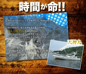 \超目玉!/天然海老ちりめん!愛媛県佐田岬産☆天日干し【天然★海老ちりめん70g×3袋】※メール便配送!