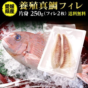天然 マダイ 魚の人気商品 通販 価格比較 価格 Com