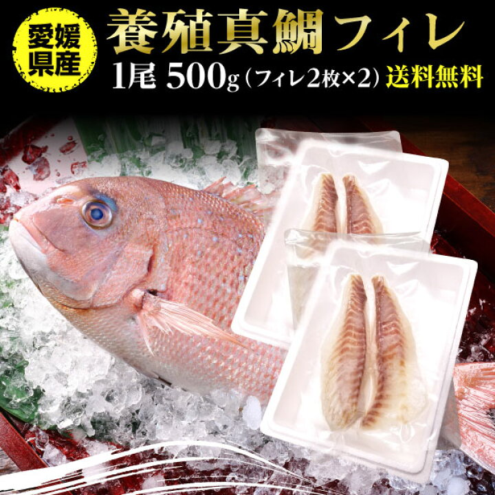 楽天市場 鯛 刺身 フィレ マダイ 真鯛 フィレ 1尾 皮無し 2枚 2 500g 送料無料 海鮮 魚介 冷凍 真空パック 応援セール 冷凍 産地直送 Y凍 くいしんぼうグルメ便
