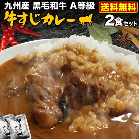 カレー 九州産黒毛和牛 A等級牛すじ使用 極旨牛すじカレー 2食 本格カレールー 自然素材 独自ブレンド レトルト 湯煎 簡単調理 時短 メール便送料無料