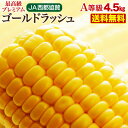 とうもろこし 生とうもろこし 早割 送料無料 宮崎産ゴールドラッシュ ヒルナンデスで紹介 宮崎県JA西都協賛 約4.5kg(11〜15本) 産地直送 新鮮 日本...