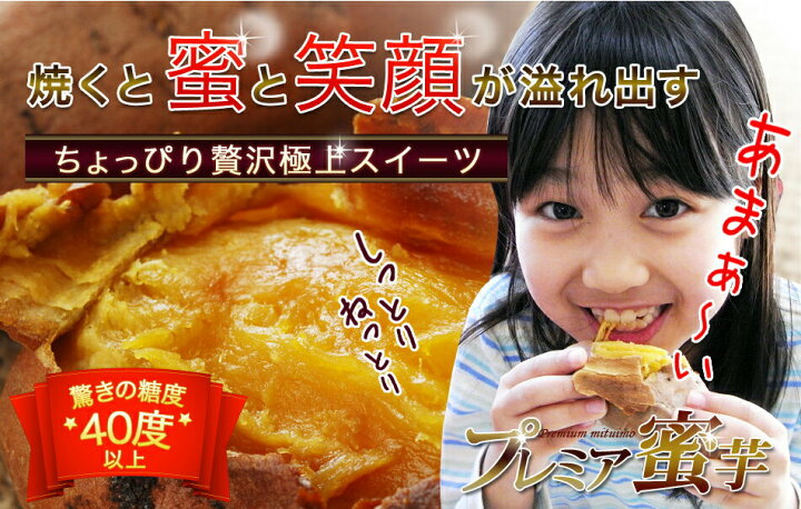 13759円 一番の 北海道産生乳使用 種子島産安納芋を使った蜜芋アイスクリームと焼き芋セット ae