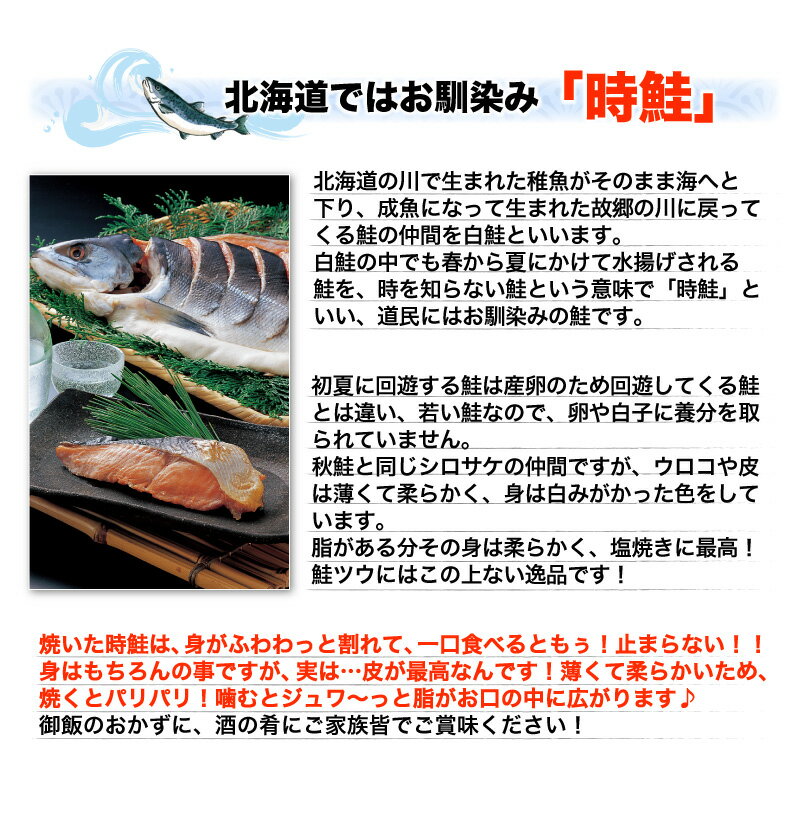 鮭 切り身 北海道産 紅鮭 時鮭 食べ比べセット 天然紅鮭4切れ(240g) 時鮭4切れ(240g) 産地直送 Y凍 くいしんぼうグルメ便