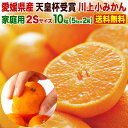 楽天市場 みかん 産地 都道府県 愛媛 人気ランキング1位 売れ筋商品